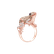 Prsten s bílými a hnědými diamanty a rubíny Miracle Frog4