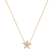 Náhrdelník s diamanty Starfish2