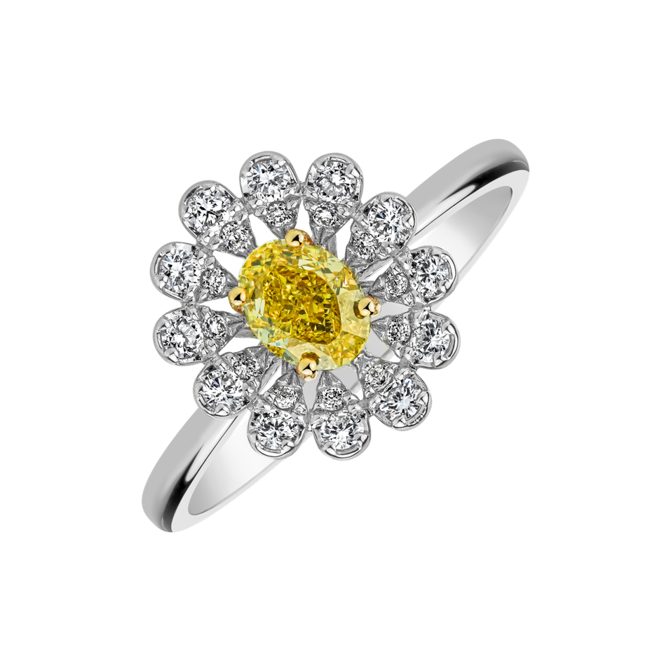 Prsten s diamanty Floral Treasure